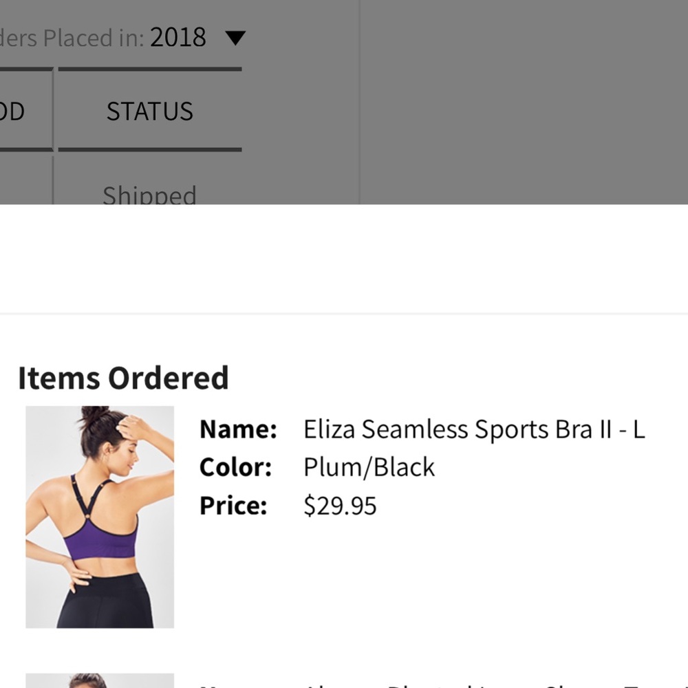 Fabletics sports bra